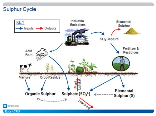 Sulphur-Cycle